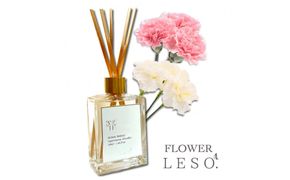 本物の花の香り リード・ディフューザー 【カーネーション】 【 リード ディフューザー 花 香り 仙台市 アロマ インテリア フレグランス デザイン 室内 癒し 自然 空間 プレゼント ギフト エッセンシャルオイル リラックス 】 041009_HW001VC04