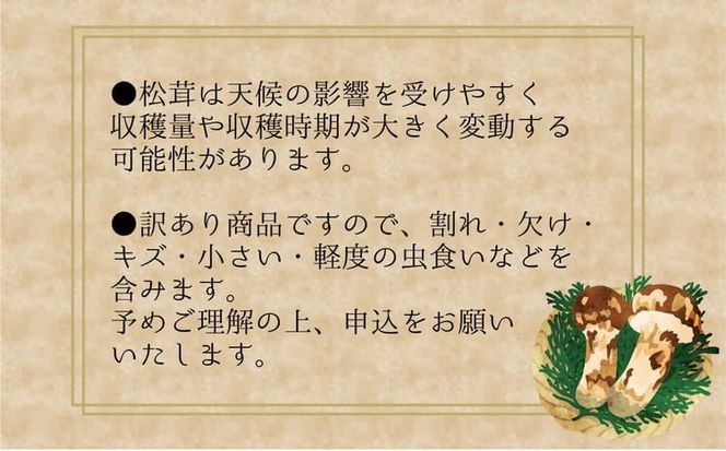 【2027年先行予約】花笑み農園　岡山の訳あり『松茸』100g 【hana078-03】