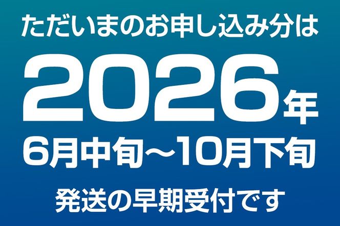 《2026年6月上旬より発送》産地直送 ボタンエビ 約1kg！ ぷりっぷりでとろける甘さ お刺身や海鮮丼に 秋田県 男鹿市 萬漁水産|23_mgs-031001