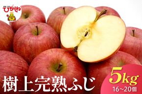 【2026年産】 樹上完熟ふじりんご 赤秀 5kg箱（16、18、20個詰め） 山形県 東根市 JA提供 hi001-051