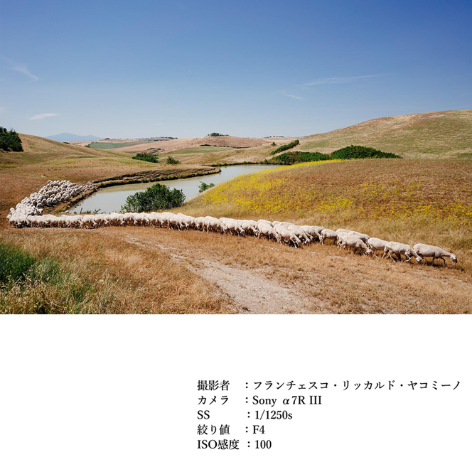 SIGMA 24mm F1.4 DG DN｜Art【ソニーEマウント】カメラ　レンズ