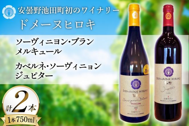 ワイン メルキュール ジュピター 赤 白 飲み比べ 750ml 2本 [ヴィニョブル安曇野 長野県 池田町 48110837] 赤ワイン 白ワイン わいん お酒 酒 Wine ソーヴィニヨン カベルネ 長野 長野県産 飲み比べセット セット