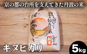 【数量限定】新米 令和6年度産 キヌヒカリ 5kg 精米 コメ 送料無料 ごはん 白米 ご飯 国産 きぬひかり