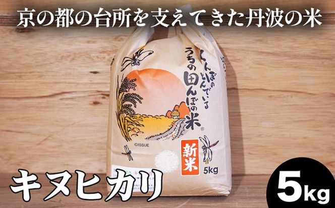 【数量限定】新米 令和6年度産 キヌヒカリ 5kg 精米 コメ 送料無料 ごはん 白米 ご飯 国産 きぬひかり