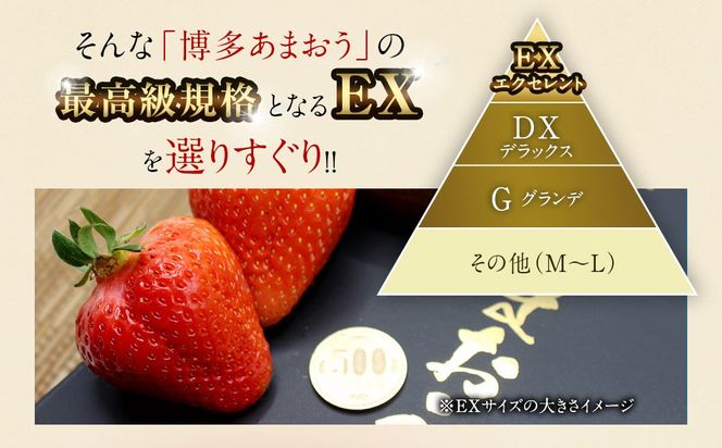 1月より順次発送!「博多あまおう」EX　贈答用化粧箱　約450g 2箱【ほたるの里】_HA0753