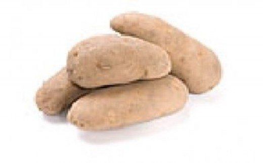 ＪＡなめがた　新じゃが「メークイン」１０ｋｇ｜茨城県 行方市 ふるさと納税 野菜 芋 じゃがいも 新芋(AE-3)