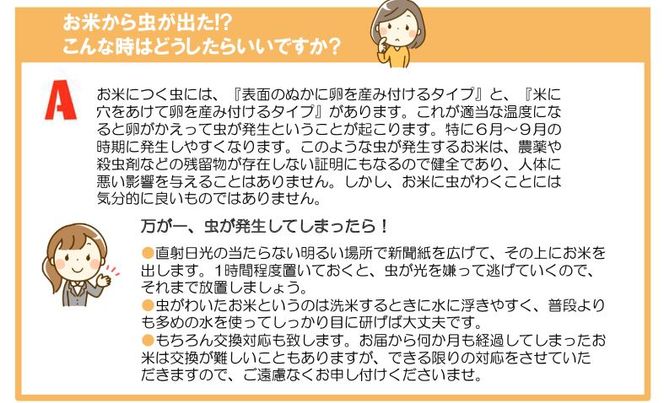 《 令和7年産米 》花巻市産 一等級 ひとめぼれ玄米30kg 【998】