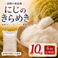 にじのきらめき 定期便 6回/10kg（5kg×2袋） 令和8年産 新米 ブランド米 白米 精米 【小分け】 宮城県大河原町産