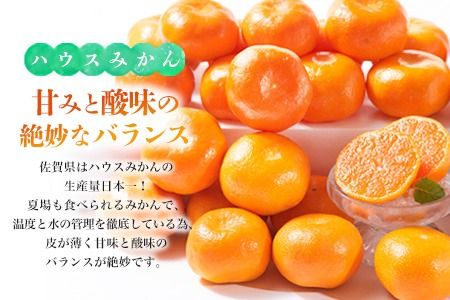 【先行受付 令和8年6月より発送開始】佐賀県産『ハウスみかん』約2000g【化粧箱入り】【果物 フルーツ みかん 柑橘 ビタミン デザート 贈答 ふるさと納税】(H108117)