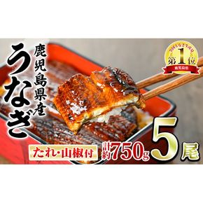 【0294315a】東串良町のうなぎ蒲焼(無頭)(5尾・計約750g・タレ、山椒付)うなぎ 高級 ウナギ 鰻 国産 蒲焼 蒲焼き たれ 鹿児島 ふるさと 人気【アクアおおすみ】