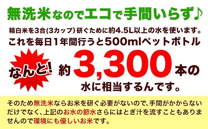 【2ヶ月定期便】熊本ふるさと無洗米 10kg 訳あり 《お申込み翌月から出荷》米 コメ こめ 熊本県産 米 ふるさと納税 わけあり 以上のお米ならこれ お米 おこめ 熊本 むせんまい kome musennmai 定期便---mifune_lcl_939_mo2---