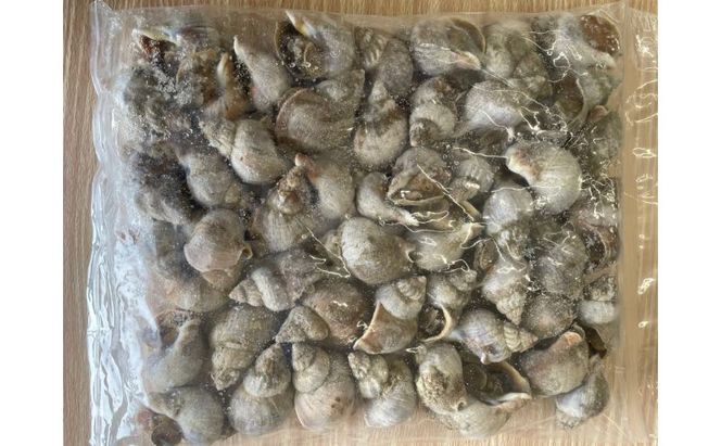 北海道産 ボイル 冷凍 磯つぶ 1kg×1パック つぶ 煮つぶ ツブ 貝