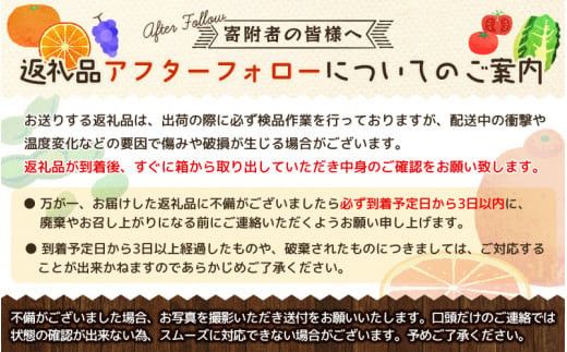 セミノールオレンジ 約5kg/サイズおまかせ　※2027年4月中旬～2027年5月下旬頃に順次発送予定(お届け日指定不可)　紀伊国屋文左衛門本舗　【ntbt481B】
