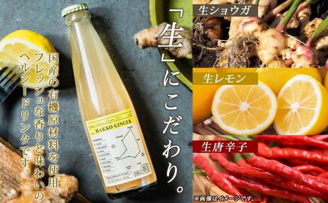 北海道 自家製 ジンジャービア 200ml×24本 HAKKO GINGER 発酵 ジンジャー ビール 生姜 レモン 辛口 ノンアルコール 炭酸 ヘルシー 野菜飲料 野菜ジュース 飲料類 炭酸飲料 