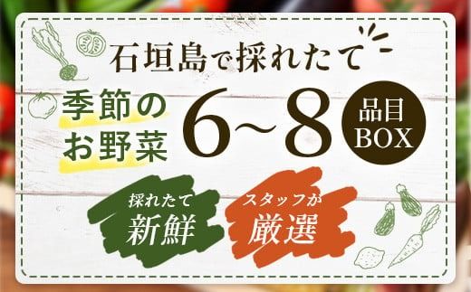 石垣島産 野菜 BOX【３回定期便】（６~８種類）季節ごとに野菜パワーをあなたに！！｜沖縄 石垣島 直送 旬 新鮮 島野菜 野菜セット 野菜 やさい 季節のお野菜 旬の野菜セット 詰め合わせ 定期便 野菜定期便 CK-2 