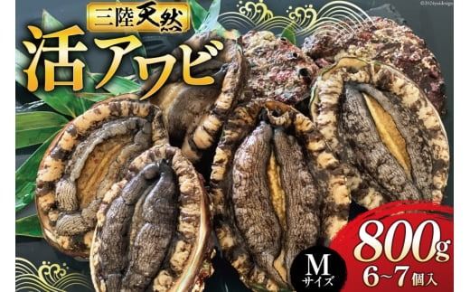 海鮮 魚介 三陸 天然 活 アワビ Mサイズ 800g(6〜7個入) [マルヤ五洋水産 宮城県 南三陸町 30al0010] 魚介類 あわび 鮑 天然 蝦夷あわび 貝 冷蔵 刺身 刺し身 活き ステーキ