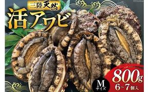 【期間限定発送】 海鮮 魚介 三陸 天然 活 アワビ Mサイズ 800g(6～7個入) [マルヤ五洋水産 宮城県 南三陸町 30al0010] 魚介類 あわび 鮑 天然 蝦夷あわび 貝 冷蔵 刺身 刺し身 活き ステーキ