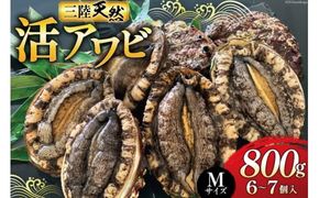 海鮮 魚介 三陸 天然 活 アワビ Mサイズ 800g(6～7個入) [マルヤ五洋水産 宮城県 南三陸町 30al0010] 魚介類 あわび 鮑 天然 蝦夷あわび 貝 冷蔵 刺身 刺し身 活き ステーキ