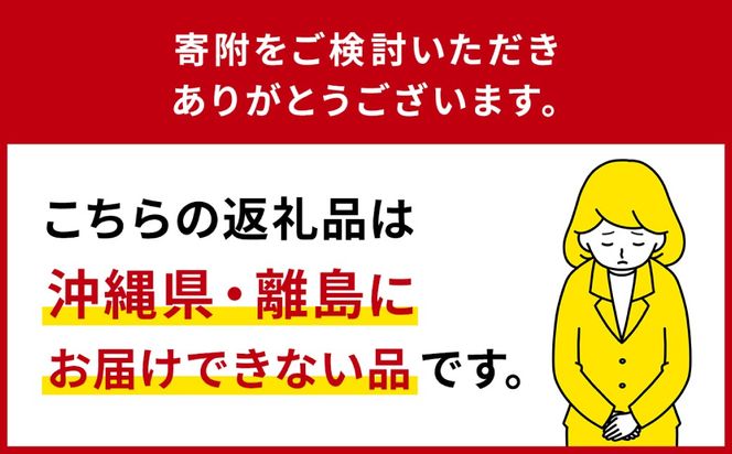 ns124-008 那須塩原市 後から選べる旅行Webカタログで使える！旅行クーポン（60,000円分）旅行券 宿泊券
