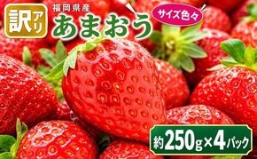 訳あり いちご 2027年2月中旬より発送 あまおう サイズ色々 4パック 約1kg 果物 フルーツ 福岡県産あまおう ※配送不可：離島