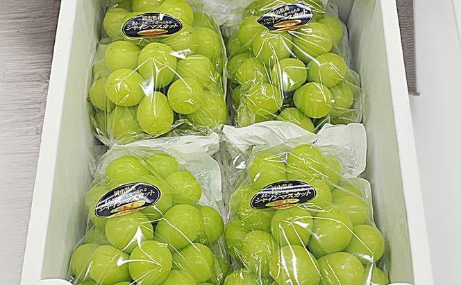 ぶどう 2026年 先行予約 シャインマスカット晴王 4房 (1房480g以上) ブドウ 葡萄 岡山県産 国産 フルーツ 果物 ギフト 