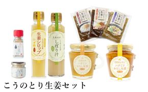 こうのとり生姜セット 9種入り / 刻み生姜の醤油漬け・炊き込みご飯の素・生姜焼きのタレ・生姜シロップ・生姜絞り汁・はちみつおろし生姜・はちみつおろし生姜レモン・蒸し生姜の粉・おろし生姜 / 国産 兵庫県産 こうのとり生姜  ショウガオール しょうが