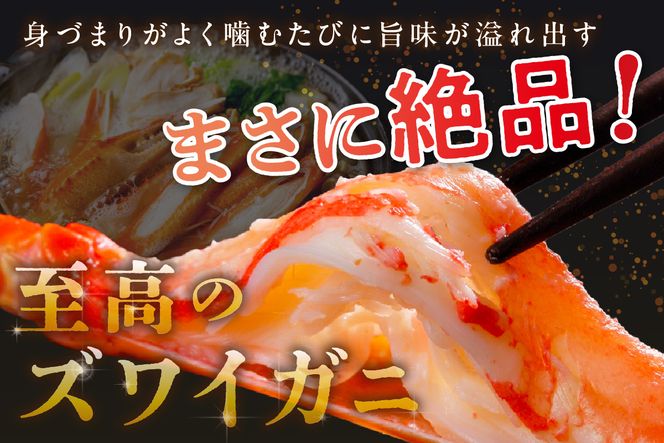 【訳あり！カニ酢付き】急速冷凍 ボイル済み 本ズワイガニ 2Lサイズ4肩　YK00412