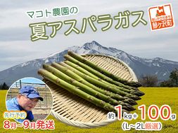 アスパラガス 先行予約 夏アスパラガス 約1kg+100g L～2L 約30本前後 厳選 マコト農園 アスパラ グリーンアスパラ 野菜 夏 旬 旬の野菜 産地直送 2026年 2026 先行 予約 青森 冷蔵 冷蔵配送 8月～9月発送
