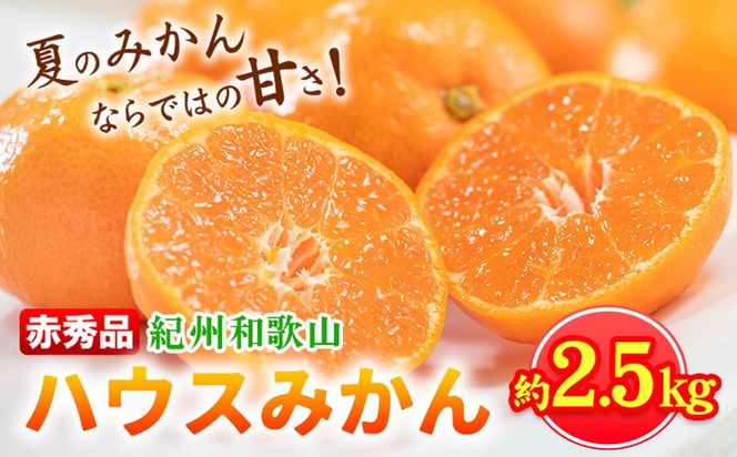 ya̎R쒬zys\zԏGi IBa̎R nEX ݂ 2.5kg ЋߏXs2026N6{`7{oׁta̎R 쒬 ݂ ~J  t[c k---wshg_uot145_6g7g_25_20000_2500g---