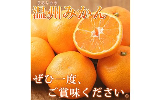 【先行予約】【家庭用 訳あり】紀州有田産 濃厚完熟 温州みかん 2kg  ※2026年11月下旬～2027年1月下旬頃に順次発送予定  / みかん ミカン 蜜柑 温州みかん 柑橘 フルーツ 果物 くだもの 和歌山【uot836】