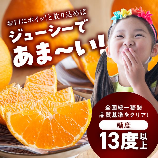 BD6004n_デコポン 秀品 約 5kg 18 ～ 24玉 不知火 甘味 濃厚 ジューシー 甘い 果汁 大きい果肉 薄皮 高品質 糖度 13度以上 柑橘 フルーツ 果物 食品 国産 有田産 和歌山県 湯浅町 マルナガ お取り寄せ 送料無料