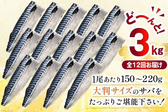 12回 定期便 訳あり 塩サバ フィレ 3kg 総計36kg [足利本店 宮城県 気仙沼市 20564960] 魚介類 魚 サバ サバフィレ さば 鯖 サバフィーレ 鯖フィレ 切り身 冷凍 訳アリ 訳ありサバ 大容量 わけあり トロ