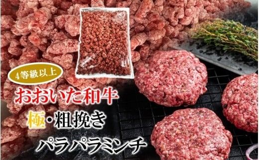 極・粗挽き! 大分県産 牛 ･ 豚 3種のパラパラミンチ 挽肉 ひき肉 あらびき 便利 国産 おおいた和牛 豊後牛_2589R