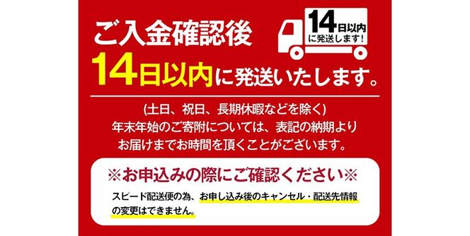 《選べる種類・容量》かごしま黒豚ハンバーグ計10個or計24個(デミグラス・和風おろし・業務用デミグラス)【AKR Food Company】姶良市 湯煎 冷凍 鹿児島黒豚 国産 肉 豚 豚肉 惣菜 総菜 冷凍ハンバーグ おかず 温めるだけ 簡単 個包装 小分け a563 a679 a1003