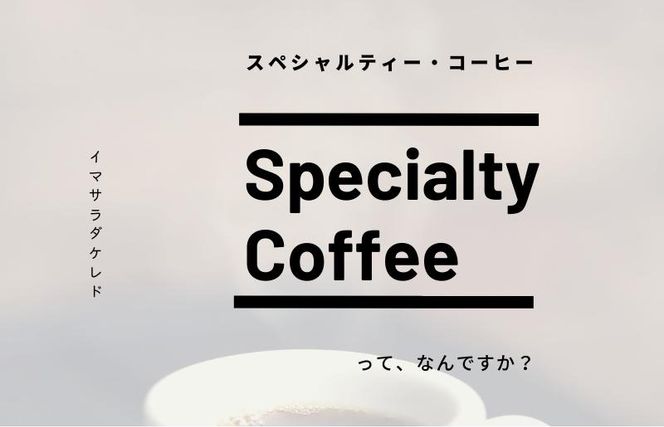 G1405 スペシャルティコーヒー焙煎豆 中浅煎り 300g 定期便 全12回 12か月【毎月配送コース】