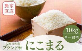 秘境の地からお届けする あゆみファームのお米 にこまる 10kg【2025年10月下旬頃から順次発送】/ 米 お米 にこまる 10kg 精米 和歌山【aym014】