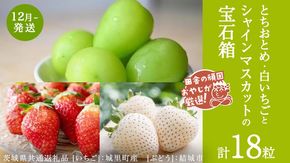 「粒々いちご18粒」とちおとめと白いちごとシャインマスカット【12月より発送開始】（茨城県共通返礼品 [いちご]：城里町産　[ぶどう]：結城市）  詰め合わせ 果物 フルーツ 茨城県産 [BI449-NT]
