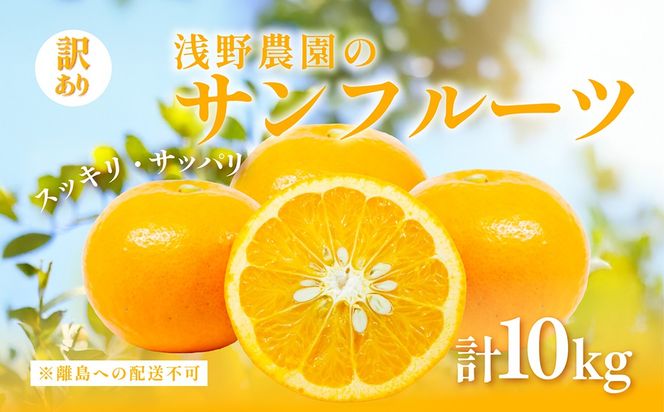 【訳あり】浅野農園のサンフルーツ 10kg ※離島への配送不可 IKTAC011