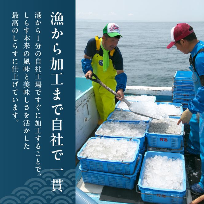 特選釜揚げシラス　1kg木箱セット_FA1000