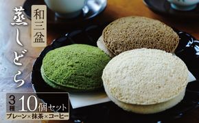 【蒸しどら プレーン 10個入 】和三盆 どら焼き 餡 ふわふわ しっとり食感 H181-004