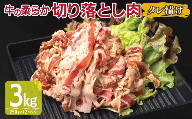 y{򍲖szG3387  ؂藎Ƃ ^Ђ v3kgyt  Ă ȒP BBQ  250g×12܁z