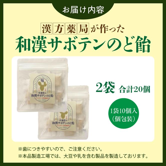 和漢サボテンのど飴　2袋 ［103S13］ 和漢 サボテン のど飴 草漢堂 オリジナル サボテンパウダー入り ノンシュガー 着色料不使用 個包装 島川あめ店 コラボ 飴 キャンディー おかし お取り寄せ 愛知県 小牧市 送料無料