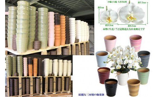綺麗で丈夫な三河陶器で贈る 光触媒胡蝶蘭大輪３本立（白色の陶器×白桃色の花） H100-101