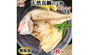 岬だよりの大人気 天然真鯛の干物　中サイズ5枚セット