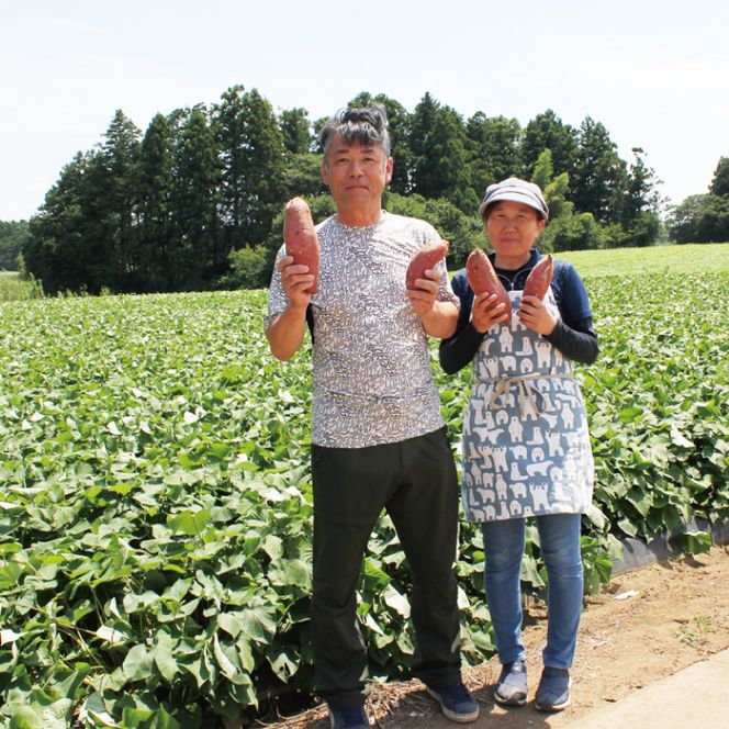 【緊急支援品】 訳あり 無選別 行方台地のさつまいも 熟成 シルクスイート 約10kg 【2026年4月下旬より順次発送】｜シルクスイート 茨城県(CU-85-6)