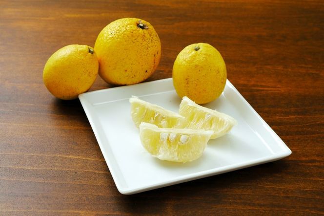 yQɕzyʌzƒp Z(7kg) 󂠂 kCEEւ̔zs ւ̔zs i2026N41菇j IKTA021