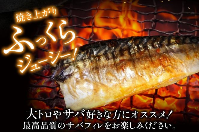 【CF03】訳あり 塩サバ フィレ 3kg [足利本店 宮城県 気仙沼市 20564146] 魚介類 魚 海鮮 大容量 サバ さば 鯖 サバフィレ サバフィーレ 鯖フィレ トロサバ 訳アリ 訳あり わけあり 切り身 冷凍