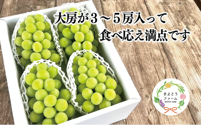 【2026年先行予約】シャインマスカット 上級品 大3-5房/計2.4kg~ (岡山県産)【KF-B072-02】