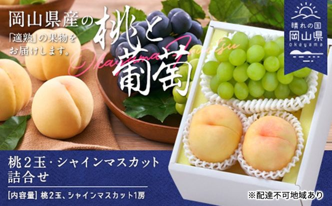 桃 ぶどう 2026年 白桃 晩生種 2玉 シャイン マスカット 1房 合計約1.0kg もも 葡萄 岡山県産 国産 フルーツ 果物 ギフト [№5735-1902]