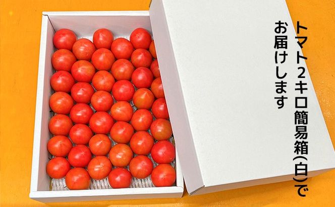 【数量限定】水田さんのフルーツトマト２㎏定期便（全3回 / 2・3・4月お届け / 簡易箱入）